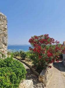um jardim com flores vermelhas e uma parede de pedra em CAPITANO di CHERSO VIP holidays, gourmet & sail experience em Dragozetići
