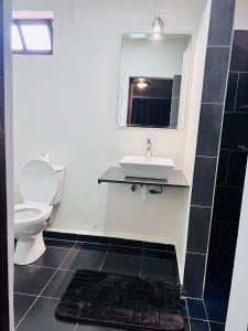 a bathroom with a sink and a toilet at Bed&Breakfast VANILLA in Antsirabe