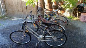 Jazda na bicykli v okolí ubytovania Gólyásház apartman