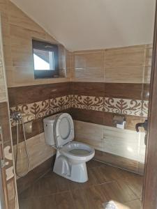 łazienka z toaletą i telewizorem na ścianie w obiekcie Ергини w mieście Dobriniszte