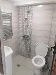 La salle de bains est pourvue d'une douche et de toilettes blanches. dans l'établissement Ергини, à Dobrinichte