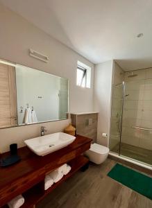 y baño con lavabo, aseo y ducha. en Tropical beachfront apartment, en Belle Mare