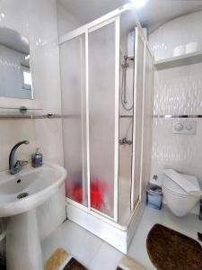 ein Bad mit einer Dusche, einem Waschbecken und einem WC in der Unterkunft Sere in Antalya
