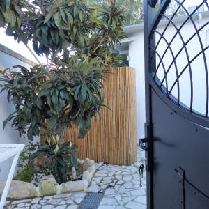 una puerta a un jardín con un montón de plantas en Casa Maia, en Casalabate