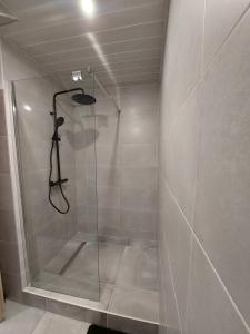 um chuveiro com uma porta de vidro na casa de banho em Famille House 201 em Chalon-sur-Saône