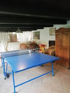 a blue ping pong table in a living room at Villa Stella in Santa Margherita di Pula