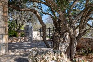 Vonkajšia záhrada v ubytovaní Stone House San Pelegrin