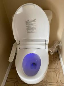 a white toilet with a purple bowl in a bathroom at 4 bedroom 4parking can cook Fireplace,Office in Ottawa