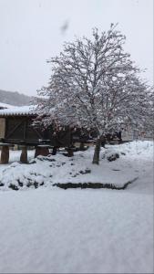 un árbol cubierto de nieve en un parque en Los Tres Hórreos, en Felechas