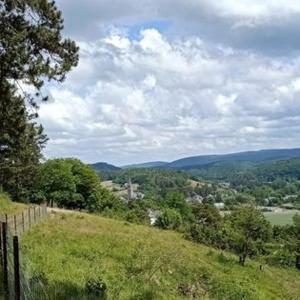 a hill with a fence and a view of a valley at Centre Louis Delobbe in Olloy-sur-Viroin