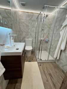 a bathroom with a shower and a toilet and a sink at «Έλα…Δάρα» Home in Daras