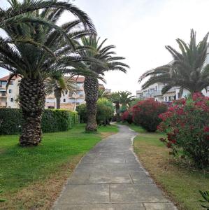 Una pasarela con palmeras en un parque en Les Capitelles : Appartement vue montagne en residence avec piscine -sur le front de mer en Saint-Cyprien