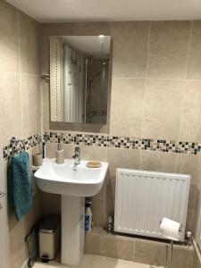uma casa de banho com um lavatório e um espelho em The Cottage Cox Hill Chacewater em Truro
