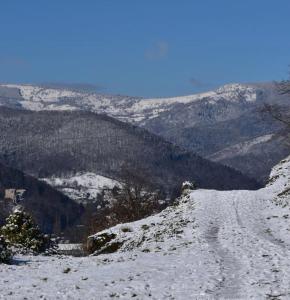 een met sneeuw bedekt pad op een met sneeuw bedekte berg bij Au petit cocon de coco in Guebwiller