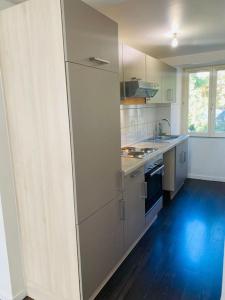 een keuken met witte kasten en een blauwe vloer bij Au petit cocon de coco in Guebwiller