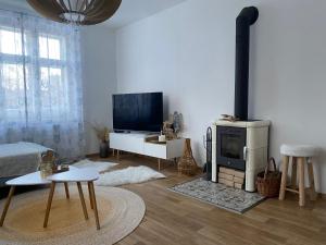 sala de estar con chimenea y TV en Vila na Kamenci, en Teplice nad Metují