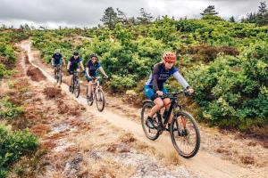 a group of people riding bikes down a dirt road at BLÅBJERGGAARD - Hennebysvej 60 in Henne Strand +13 photos