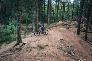 a person riding a bike on a dirt road in the woods at BLÅBJERGGAARD - Hennebysvej 60 in Henne Strand