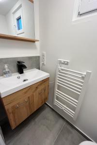 a bathroom with a sink and a mirror at Hausboot der Friesländer im Wangermeer in Wangerland