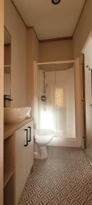 e bagno con servizi igienici, lavandino e doccia. di Luxury Lodge @ Hoburne Devon Bay a Torquay