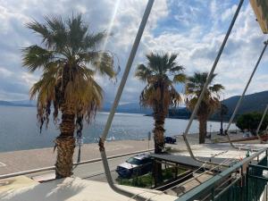 a group of palm trees next to the water at Giannis Rooms in Methana