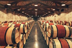 a row of wine barrels in a cellar at Château du Tertre in Arsac