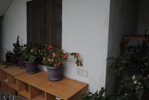 Fotografie z fotogalerie ubytování Family Guesthouse - MACHARASHVILI v destinaci Tbilisi City