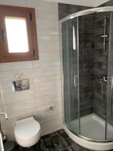 a bathroom with a toilet and a glass shower at Dionysus Sivota Center in Syvota +18 photos