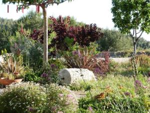 un jardin avec des fleurs et un rocher au milieu dans l'établissement L'Oustaou Dorey, à Saint-Cyr-sur-Mer