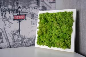 Fotografie z fotogalerie ubytování Blue Sky Apartment v Budapešti