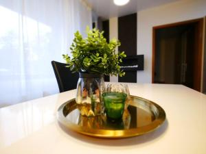 Afbeelding uit fotogalerij van 61 m2 Erdgeschosswohnung mit eigenem Parkplatz vorm Haus in Osnabrück +13 foto's