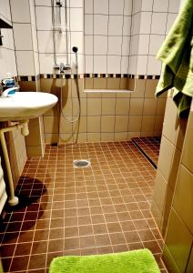 a bathroom with a sink and a shower at Hostel Diana Park in Helsinki +50 photos