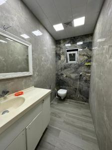 uma casa de banho com um lavatório e um WC em CHEMPION HOSTEL BAKU em Baku