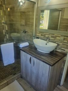 bagno con lavandino e doccia in vetro di Rosa on St James a Johannesburg