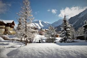 Alpin Haus Berwang v zime