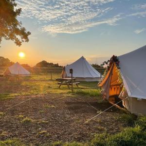 LakenheathにあるWillow Grove Farm Glampingのテント2つ、夕日を望む野原のピクニックテーブル