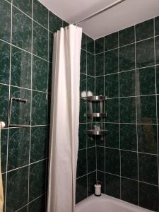 Baño de azulejos verdes con cortina de ducha y bañera en Two Bedroom Apartment Farmec, en Cluj-Napoca