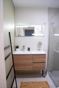 een badkamer met een wastafel en een spiegel bij Rising Sun Westende in Middelkerke