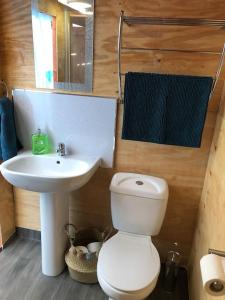 a bathroom with a white toilet and a sink at Cox Hill Glamping Badger in Truro