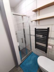 ein Badezimmer mit einer Dusche und blauem Boden in der Unterkunft Un petit nid douillet ensolleillé à Bouxwiller centre in Bouxwiller