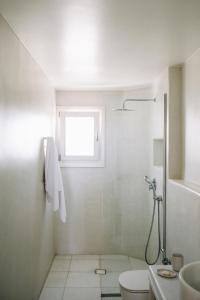 a bathroom with a shower and a toilet and a window at Ammothines Cycladic Suites in Naxos Chora