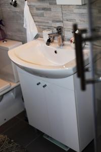 a bathroom with a white sink in a room at Apartment Blaoss in Karlovac