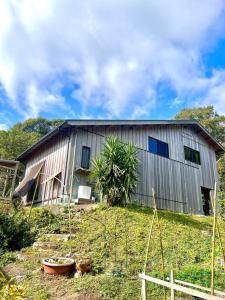 an old barn with plants in front of it at Eco Lodge Moss Tasha - Vacation STAY 39871v in Yakushima