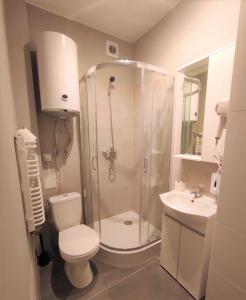 uma casa de banho com um chuveiro, um WC e um lavatório. em Rynek 9 em Poznań