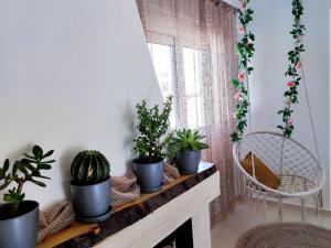 una stanza con piante in vaso seduta su un camino di Peanut's House a Kremasti