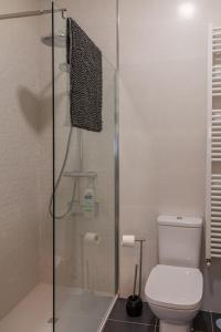 y baño con aseo y ducha acristalada. en Apartamento turístico 'Botica Moro', en Boñar