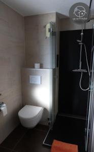 a bathroom with a white toilet and a shower at Chalet LES MARMOTTES, Ovronnaz in Ovronnaz