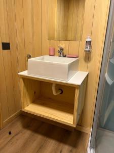 a bathroom with a white sink in a wooden room at VIVERO 5 UF15 in San Martín de los Andes