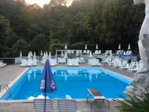 ein großes Schwimmbecken mit Liegestühlen und Sonnenschirmen in der Unterkunft Barbara in Ghiffa