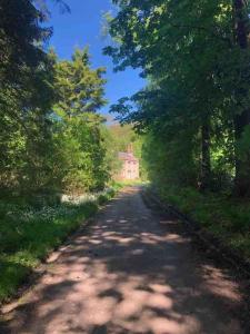 a tree lined road with a house in the distance at Oldwood. Fyvie. in Turriff